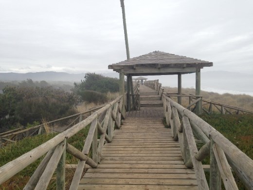 Boardwalk on top of dune.