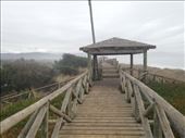 Boardwalk on top of dune.: by christinebaker, Views[292]
