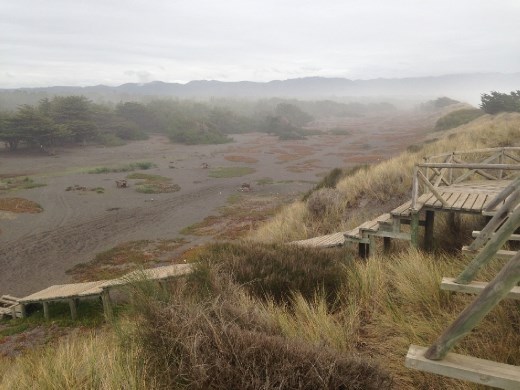 side of the dune, opposite the beach.