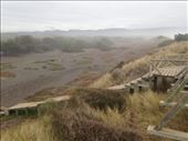 side of the dune, opposite the beach.: by christinebaker, Views[164]
