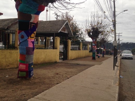 Noticed these yarn-bombed trees outside an elementary school leaving Chanco!