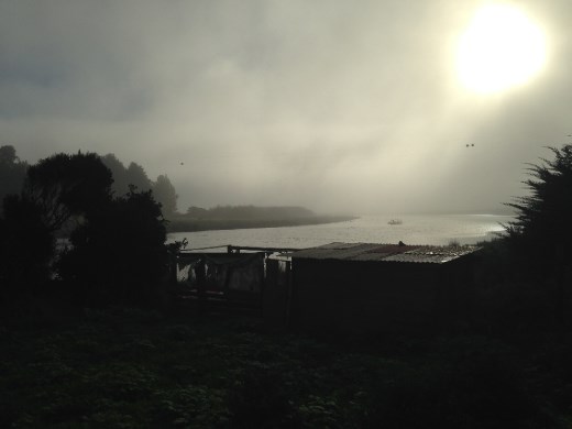 a small river about 8km from Max's, where he tried out his SUP for the first time.