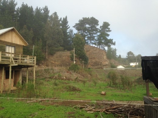 house where he entered the river.