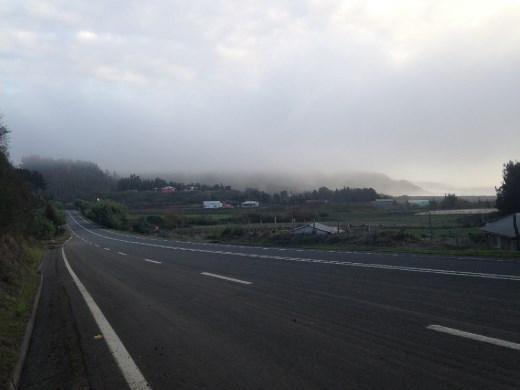 only time ive run with my phone instead of my ipod, so i stopped to take a photo...