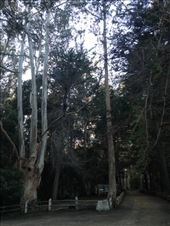 by christinebaker, Views[154]