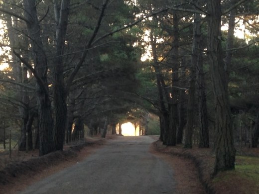 the beach is at the end of this 