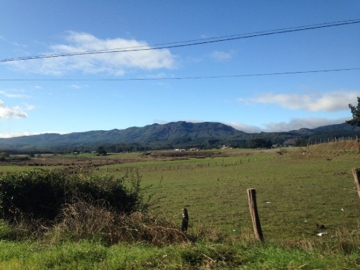 just north of Pelluhue, driving to Chanco/Cauquenes.