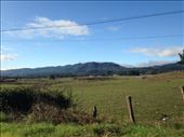 just north of Pelluhue, driving to Chanco/Cauquenes.: by christinebaker, Views[184]