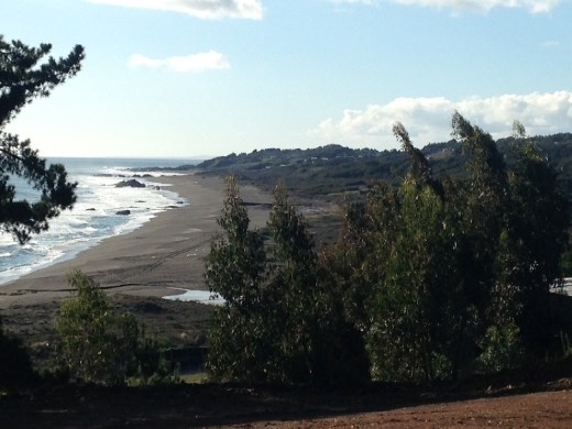 Another running view.