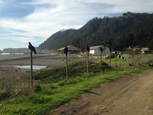 Driveway of the surf/camp/cabana spot in Port Maguellines.