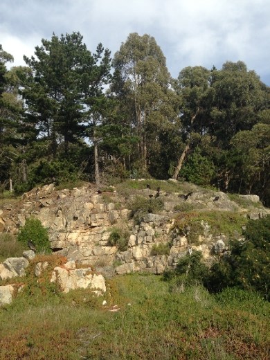 I have my back to the driveway for this pic.