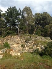 I have my back to the driveway for this pic.: by christinebaker, Views[170]