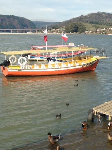 This is the boat we took to the island.