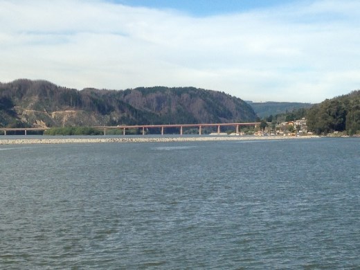 Looking up the river.