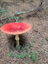 by christinebaker, Views[165]