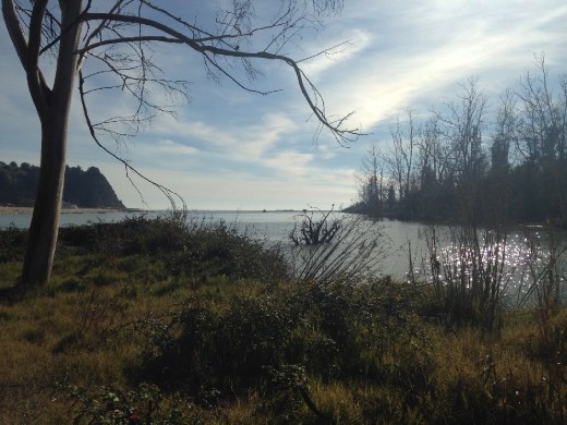 River mouth from the island.