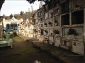 Cool old cemetary we visited, with some sweet old campy names. Oldest grave i found was from 1856.: by christinebaker, Views[252]