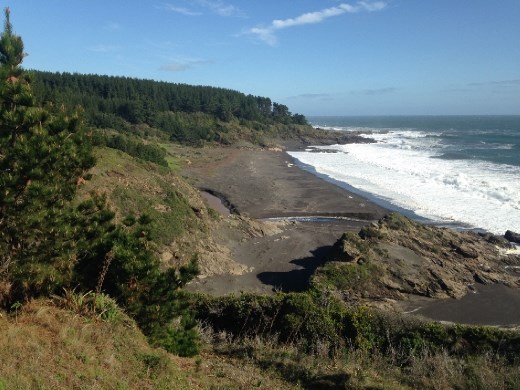 Max and I went on a little hike this day, and he took me to the point at the end of beach opposite of his house (but we were above on the cliff, not below on the beach). So this is the view on the otherside of the cliff opposite his beach.