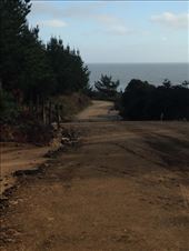 This picture doesnt do the road much justice (i wanted to show how rugged it is, to compare to the new road being built to replace it). This is the route one takes to go south of Max's house (the pavement ends and dirt begins about 1km south of Max's house).: by christinebaker, Views[312]