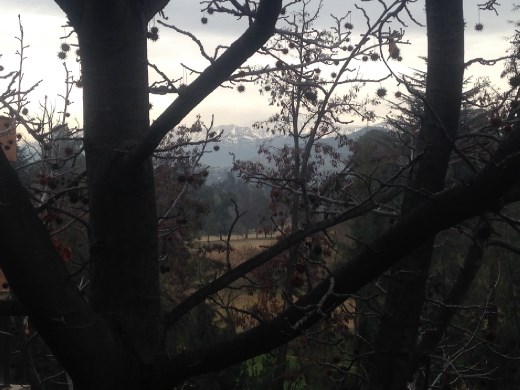 View of the Andes outside Raul's apt (where we stayed a couple nights in Santiago before heading up to Portillo).