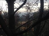 View of the Andes outside Raul's apt (where we stayed a couple nights in Santiago before heading up to Portillo).: by christinebaker, Views[126]