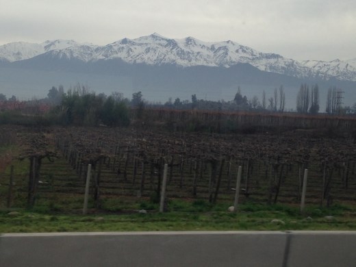 Andes and vineyards