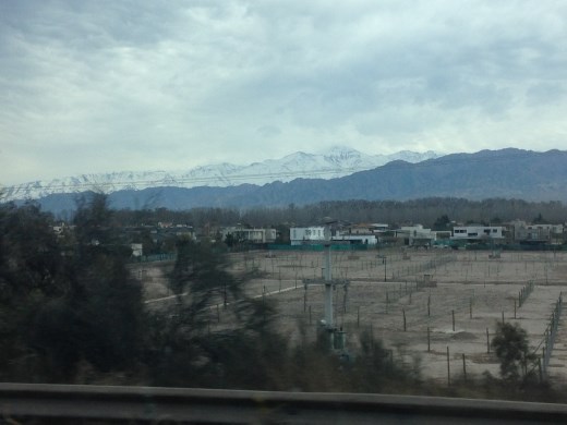 view of Andes from Vistandes bodega