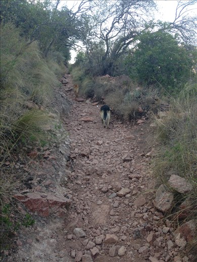 I started out with a couple guides, but they ditched me for a slower couple.