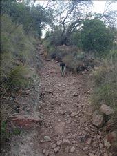 I started out with a couple guides, but they ditched me for a slower couple.: by christinebaker, Views[216]