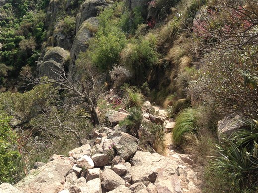 another path view...