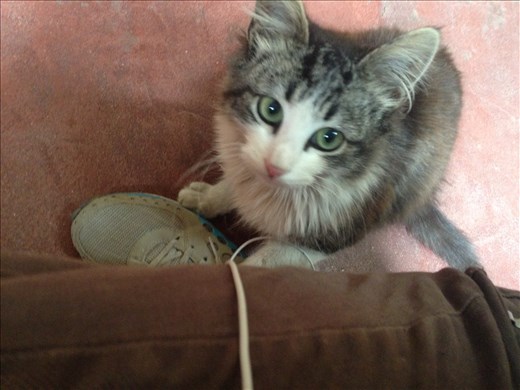 my little friend; he usually joins me for breakfast.