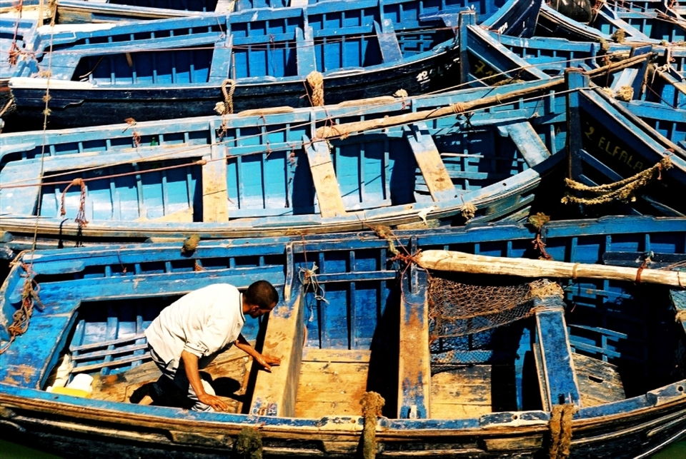 The harbor in Essaouira is home to row after row of uniform blue boats. The man tending his boat is hemmed in by the boats of his fellows. This makes me wonder how, when the time comes, he is able to get out to open water. An system of co-operation must be in place for this daily endeavor.