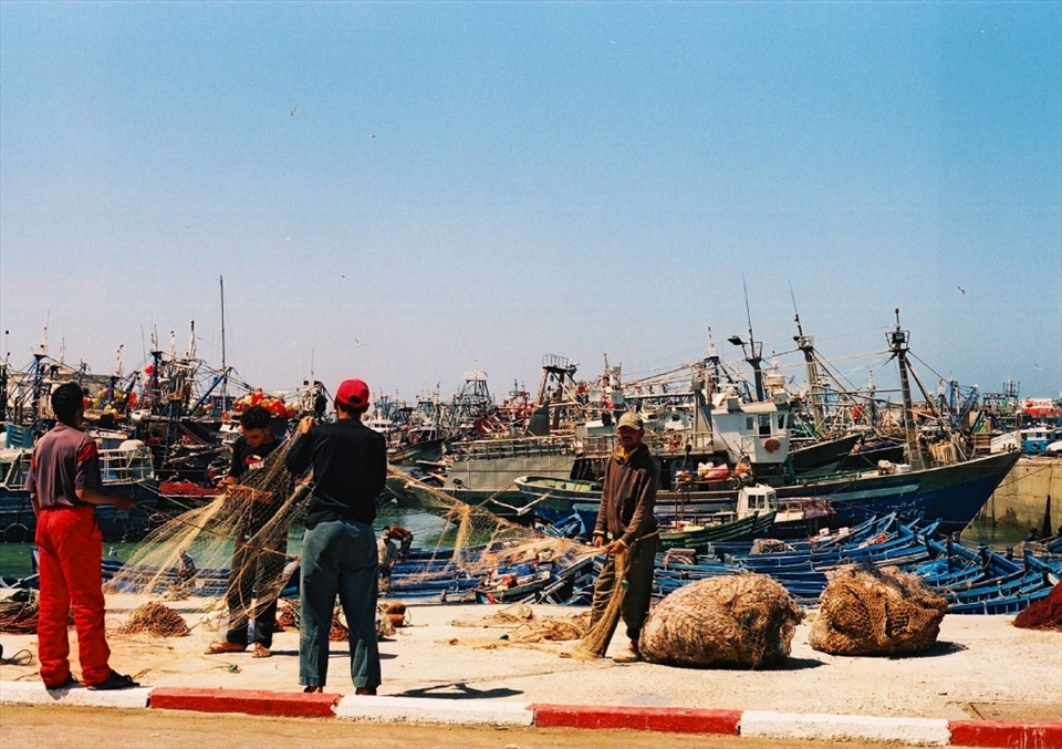 A group of men fix their fishing nets on the harbour. In the background the small blue boats are outnumbered by the larger commercial trawlers.  It’s clear that this town is heavily reliant on the livelihood provided by the sea despite the fact tourists flock to this town which is famous for its wind and kite surfing opportunities. 