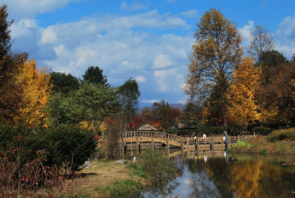The Natural Beauty of Fall