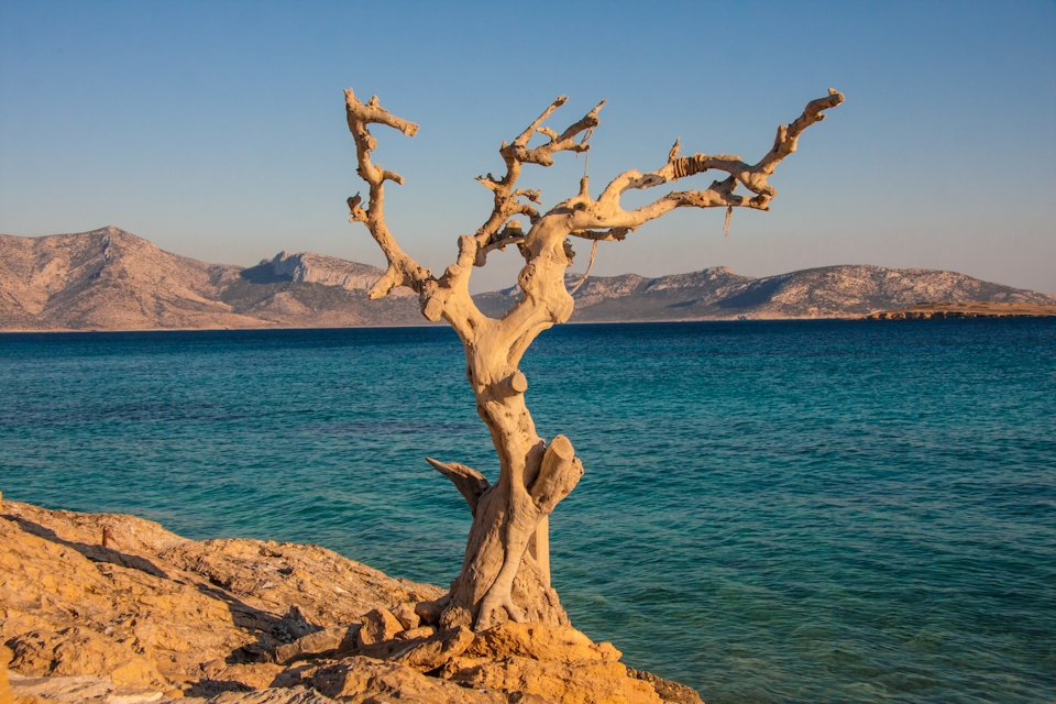 His life ended and found him attached to the rocks, next to his beloved sea.