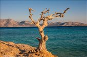 His life ended and found him attached to the rocks, next to his beloved sea.: by chromolia, Views[400]