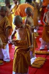 3) After taking their vows, this young boy tepidly examines his new garments. The monks help each boy to dress in their new saffron coloured robes, which signify their new life’s path.
: by chros, Views[347]