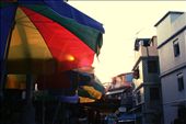 Sunshine that can only be felt outside the crowded city. : by chslee, Views[206]