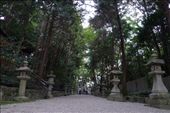 by chubipower, Views[137]
