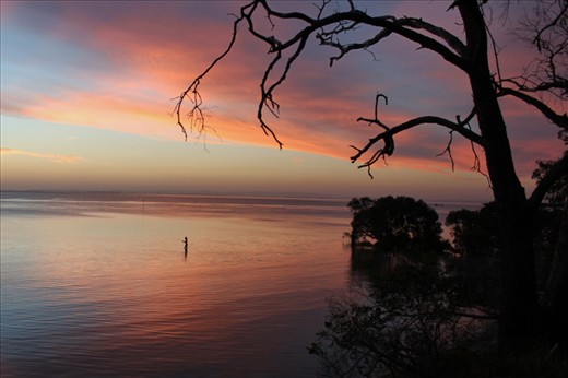 18:00
A lone fisherman casts his line out in front of a backdrop of rosy pinks and sherbet oranges.  He fishes for a while and after catching a flat head retires for the night happy with his dinner. 