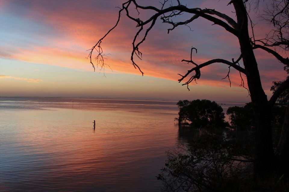 18:00
A lone fisherman casts his line out in front of a backdrop of rosy pinks and sherbet oranges.  He fishes for a while and after catching a flat head retires for the night happy with his dinner. 