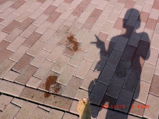 Footprints can't be seen, nor would they stay. But memories will.