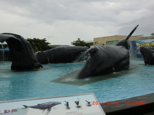 Arriving at the Sea World!