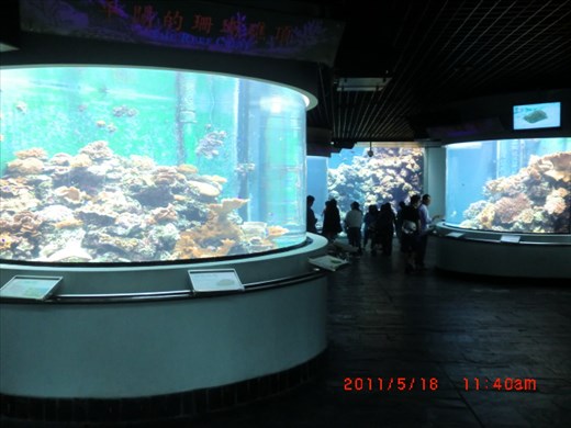 I think aquarium is a mind calming place. 