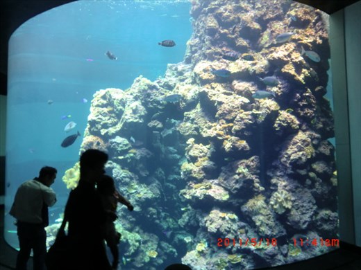 More aquarium!! 