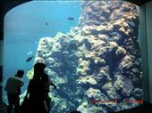 More aquarium!! : by ciel, Views[209]
