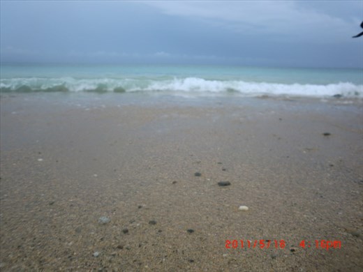 Looking at the world from a low view point can be interesting! 