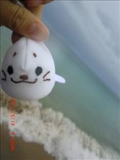 The weather wasn't the best, but our spirits were :): by ciel, Views[213]