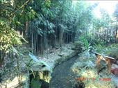 Taiwan is really a beautiful place, really green :): by ciel, Views[189]