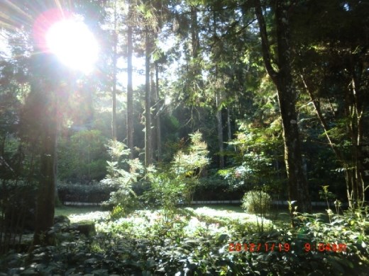 If you look carefully, anywhere can be beautiful!